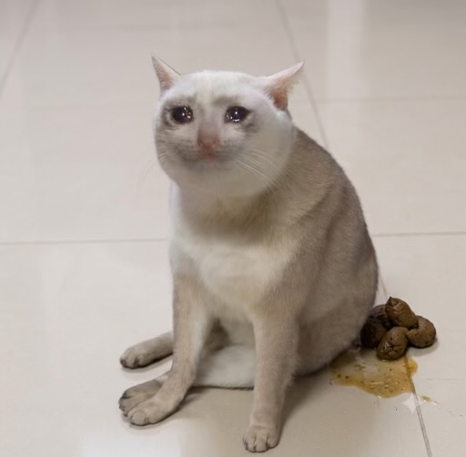 A teary-eyed cat sitting on tile next to the mark it left